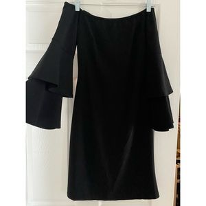 Off the should bell sleeve dress